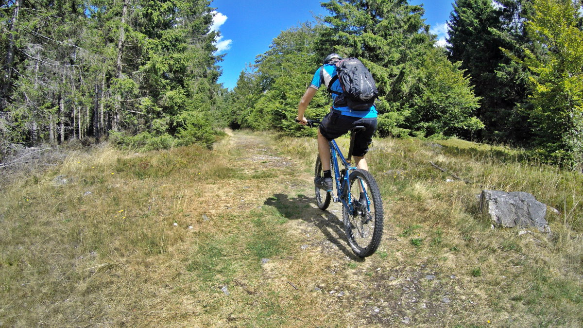 Mountainbiken voor beginners